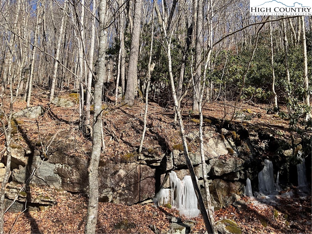 117 Smoketree Road Property Photo 1