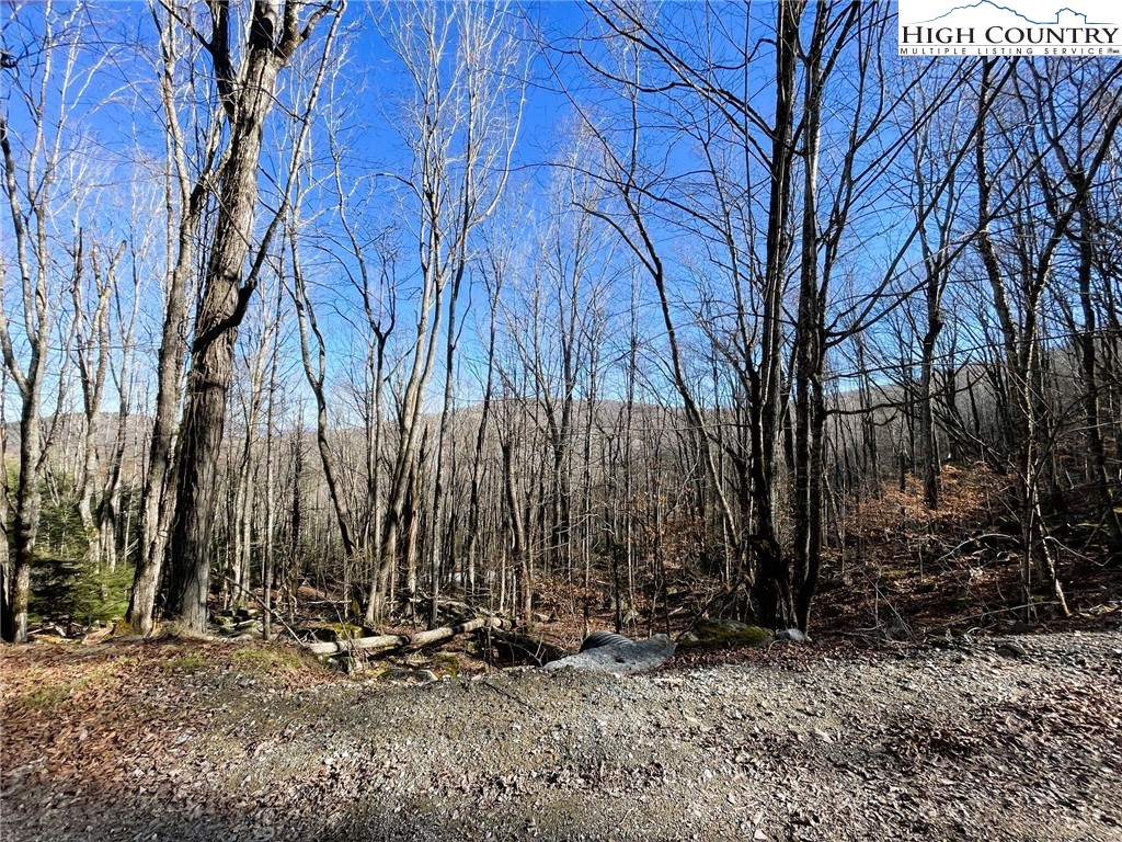 236 Lakeledge Road Property Photo 5