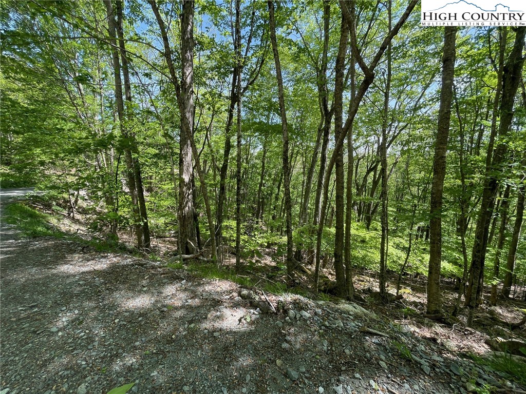 234 Lakeledge Road Property Photo 3