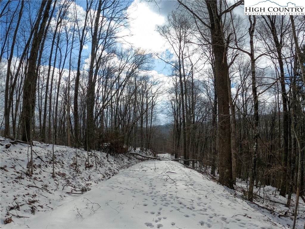 Tbd Misty Mountain Road Property Photo 1