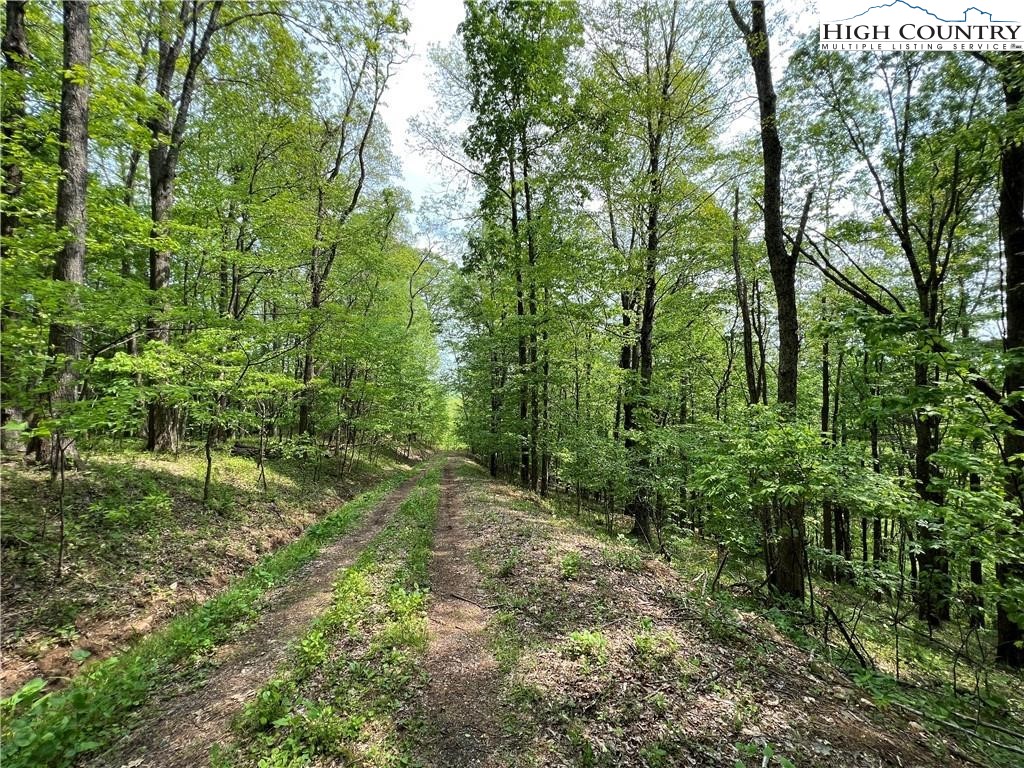 Tbd Misty Mountain Road Property Photo 2