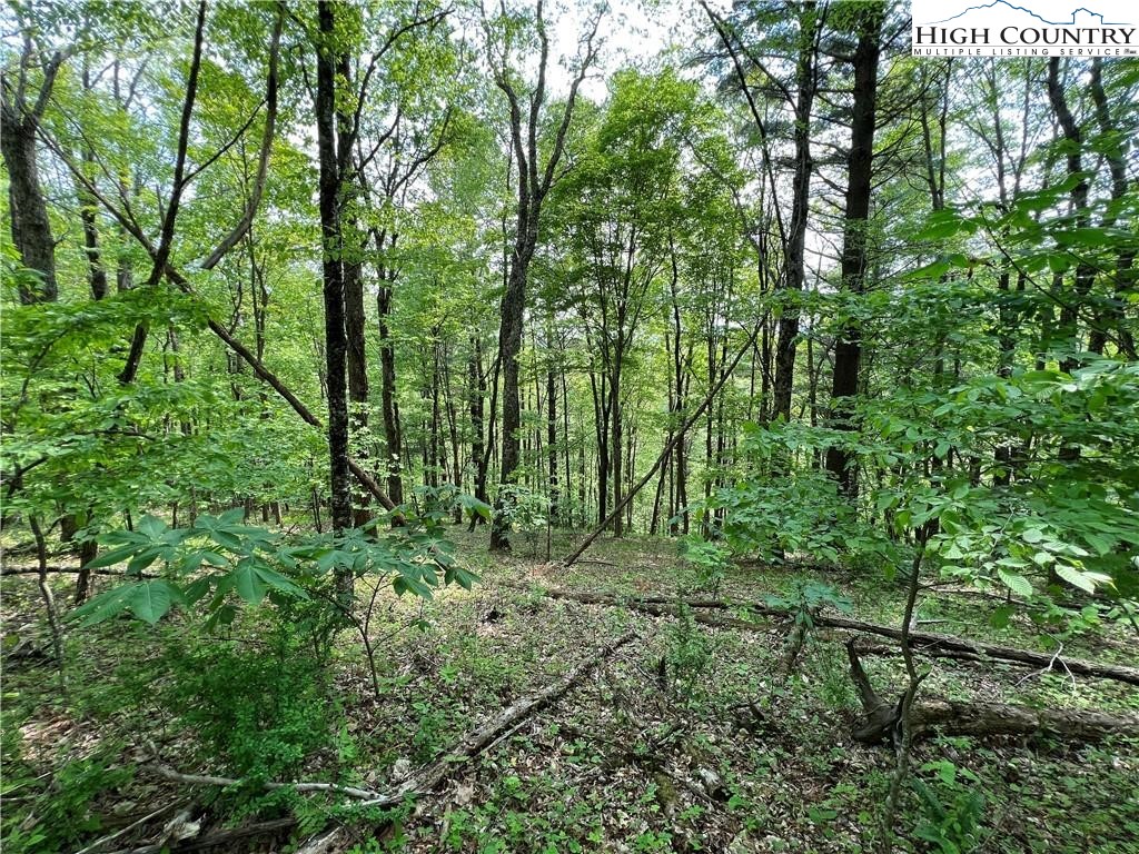 Tbd Misty Mountain Road Property Photo 4