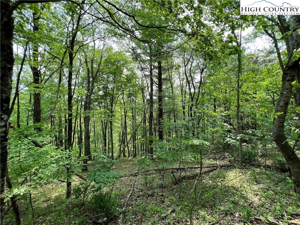 Tbd Misty Mountain Road Property Photo 5