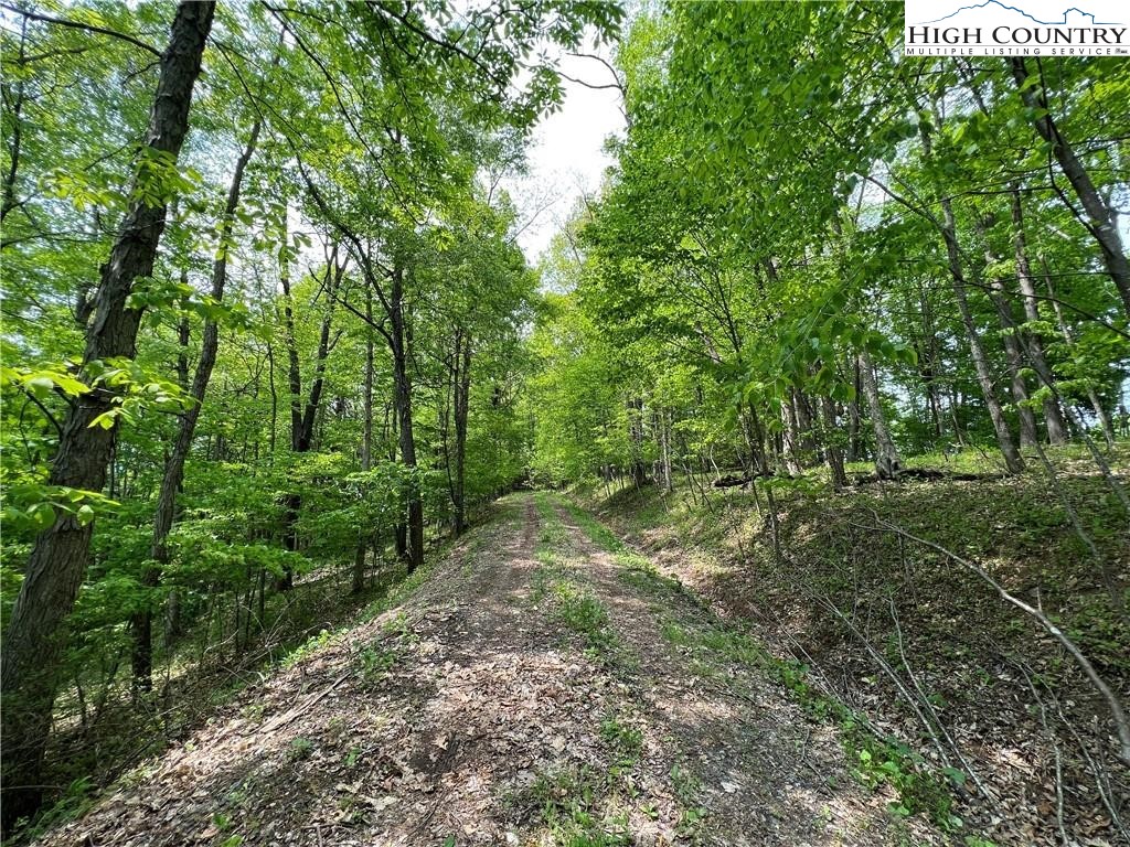 Tbd Misty Mountain Road Property Photo 9