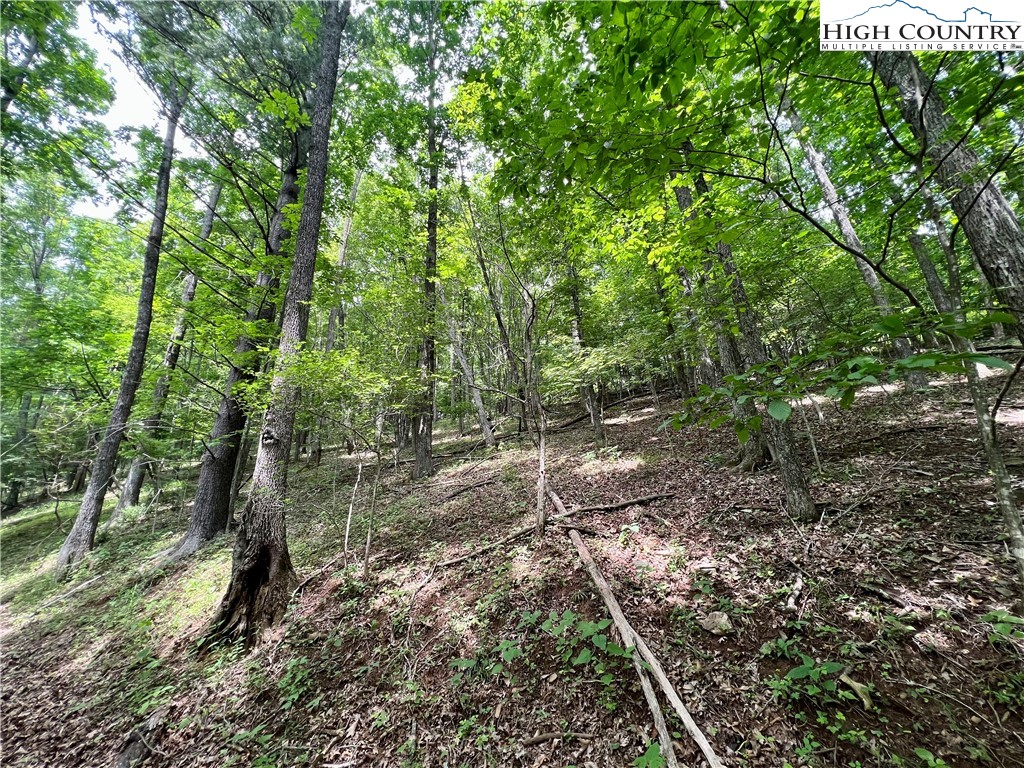 Tbd Misty Mountain Road Property Photo 11