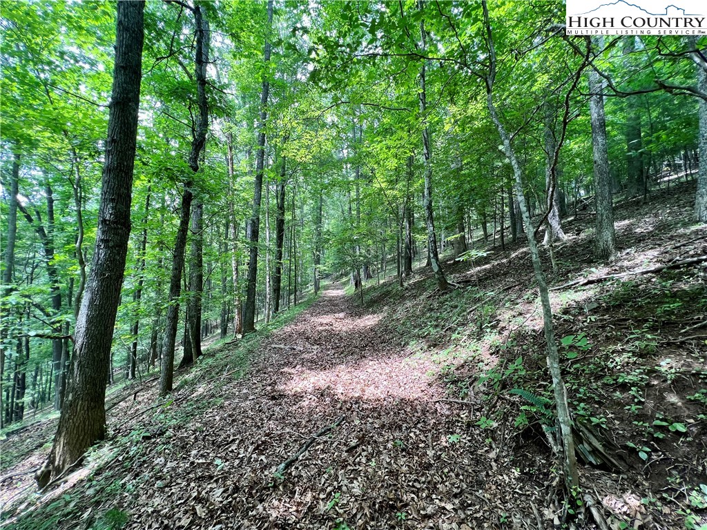 Tbd Misty Mountain Road Property Photo 12