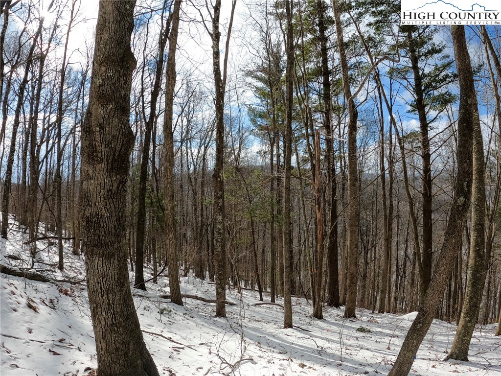 Tbd Misty Mountain Road Property Photo 13