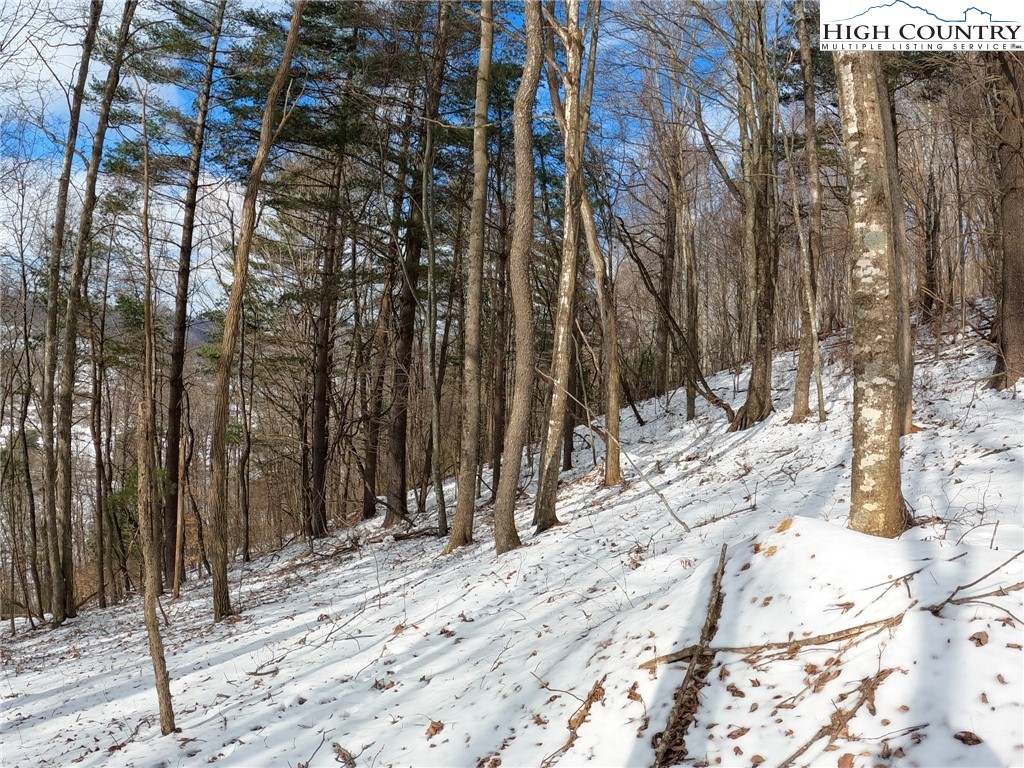 Tbd Misty Mountain Road Property Photo 14