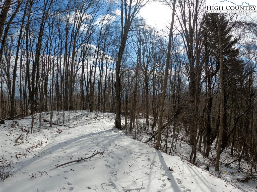 Tbd Misty Mountain Road Property Photo 16