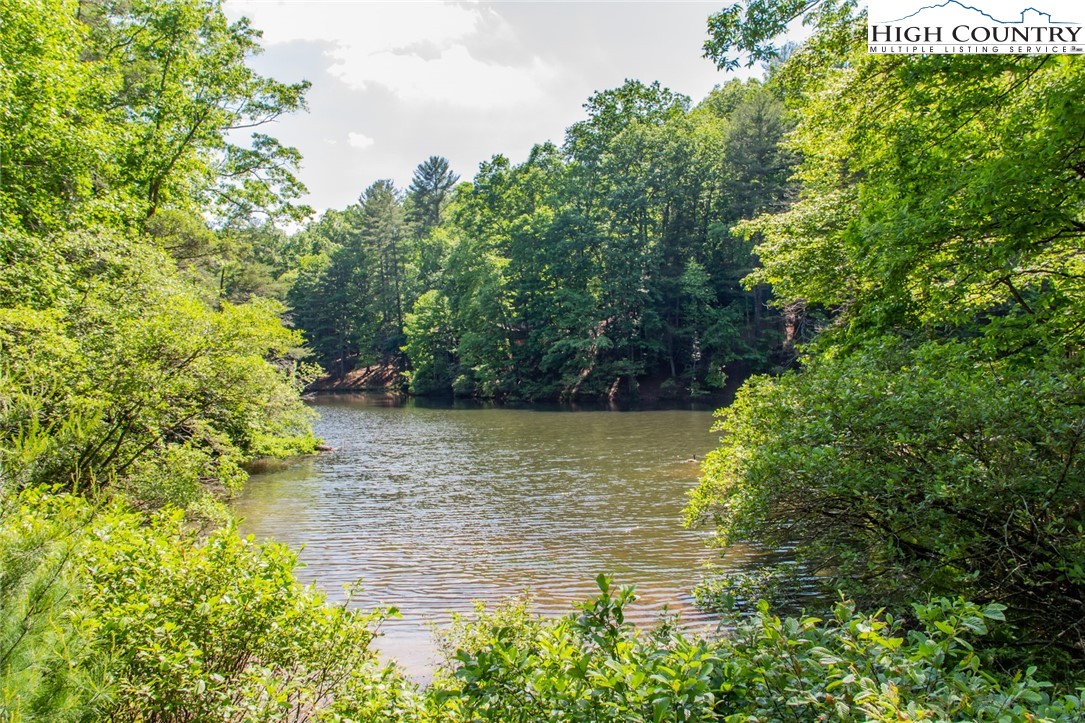 Lot94/95 Roaring Ridge Road Property Photo 6