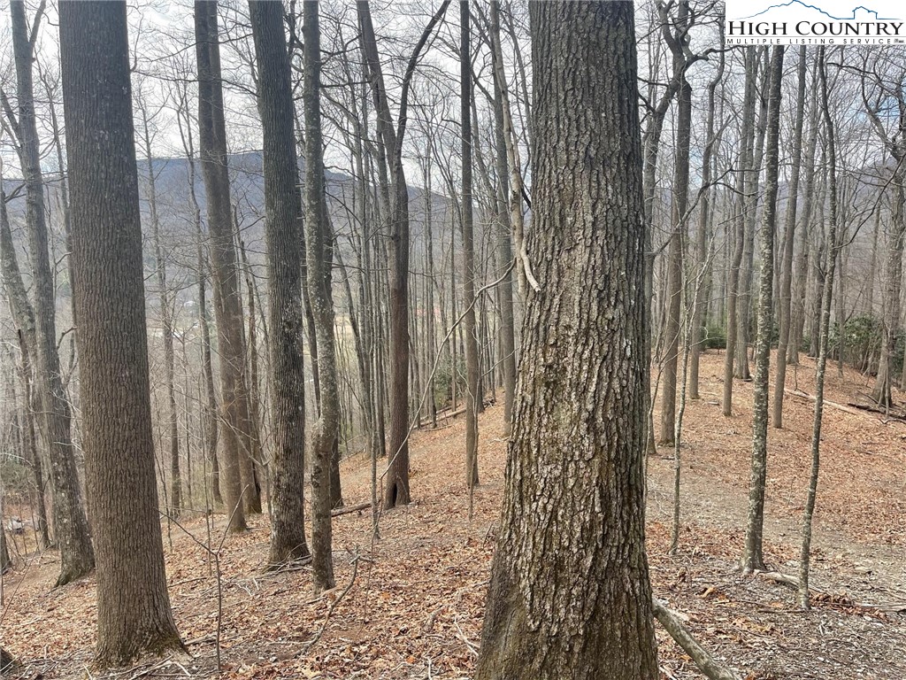 19 Jackson Ridge Road Property Photo 1