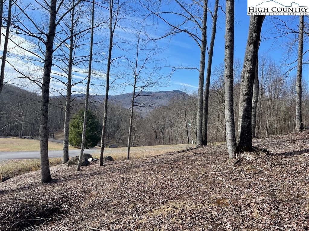 9 Jackson Ridge Road Property Photo 1
