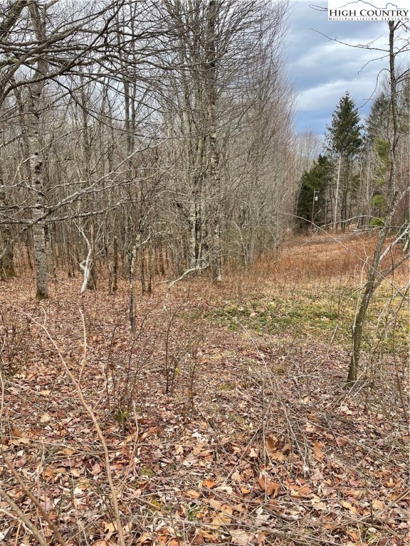 Tbd Old Mountain Road Property Photo 1