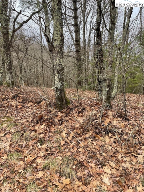 Tbd Old Mountain Road Property Photo 2