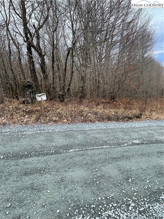 Tbd Old Mountain Road Property Photo 3