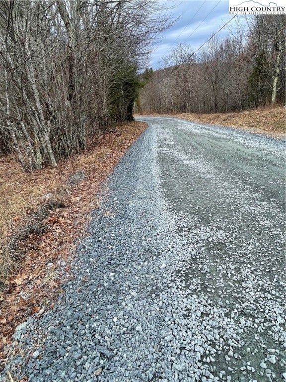 Tbd Old Mountain Road Property Photo 4