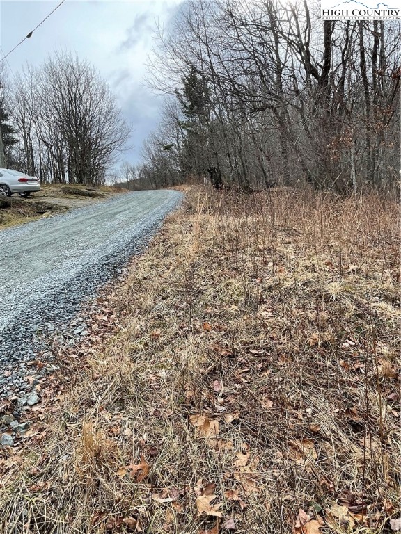 Tbd Old Mountain Road Property Photo 5