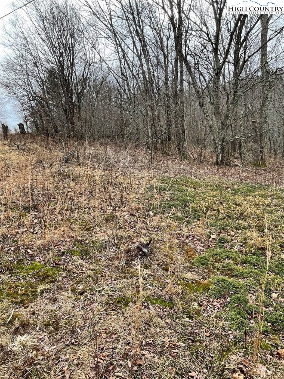 Tbd Old Mountain Road Property Photo 6
