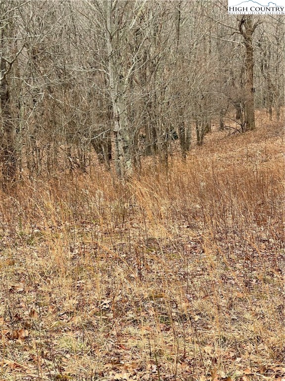 Tbd Old Mountain Road Property Photo 7