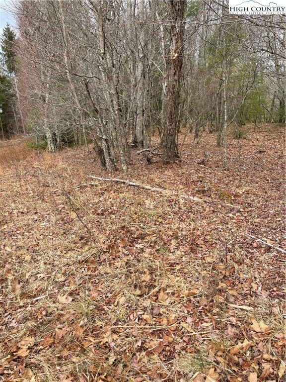 Tbd Old Mountain Road Property Photo 8