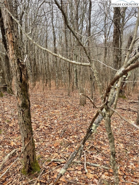 Tbd Old Mountain Road Property Photo 9