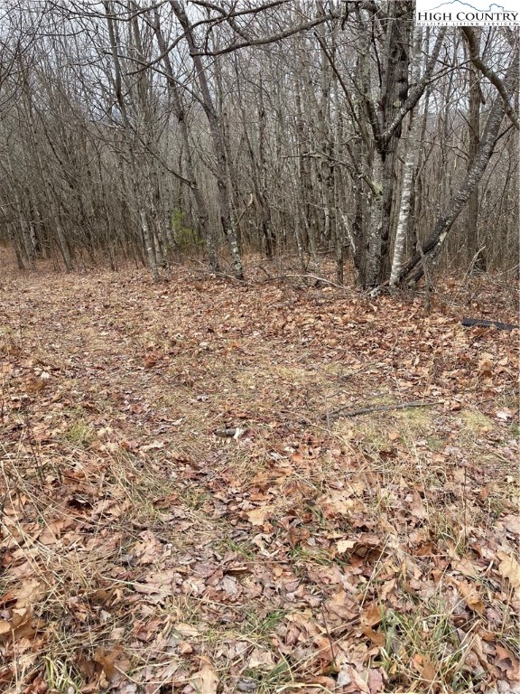 Tbd Old Mountain Road Property Photo 10