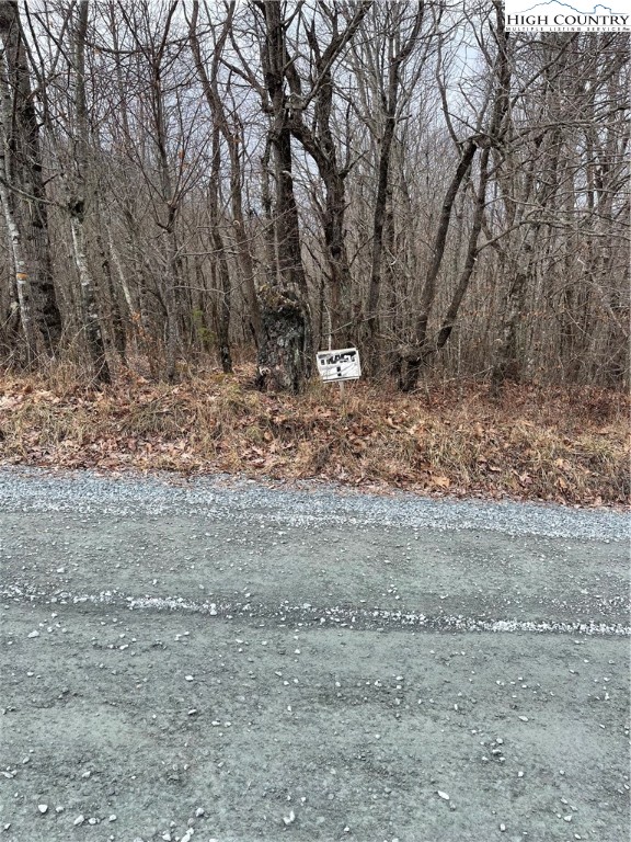 Tbd Old Mountain Road Property Photo 11