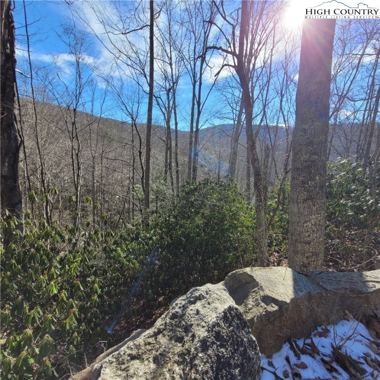 253 Poplar Road Property Photo 2