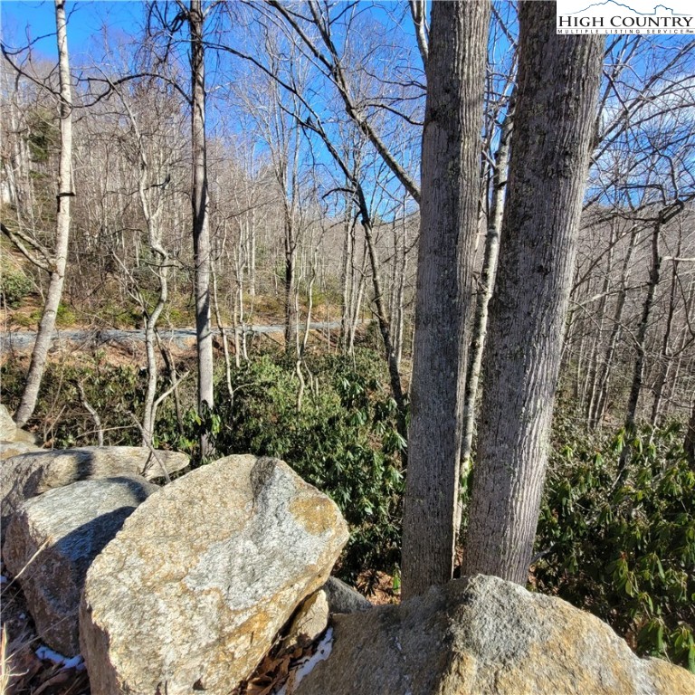 253 Poplar Road Property Photo 4