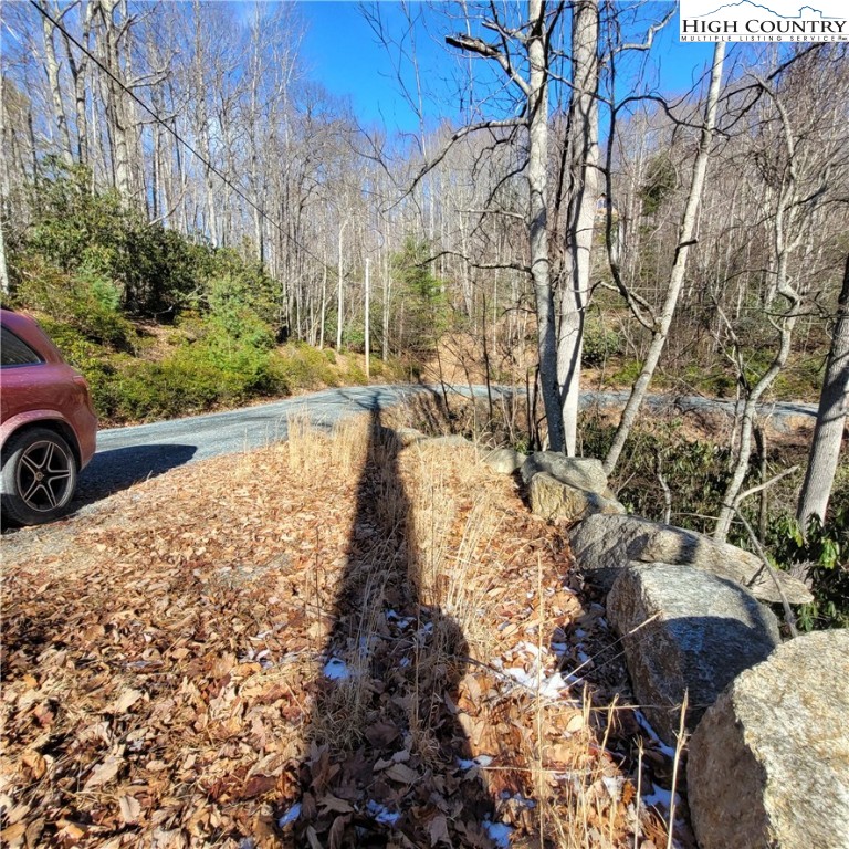 253 Poplar Road Property Photo 5