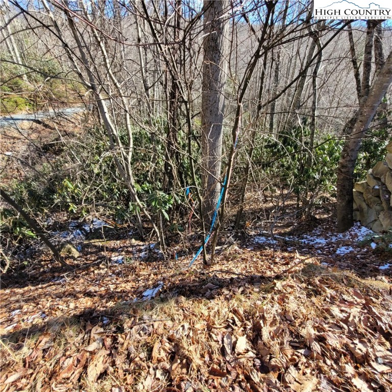 253 Poplar Road Property Photo 8