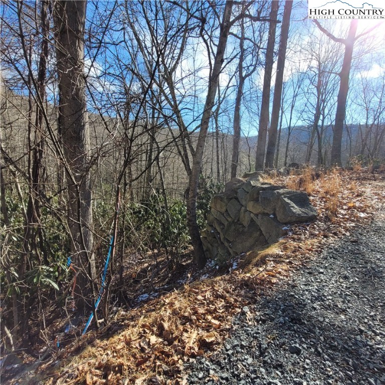253 Poplar Road Property Photo 9