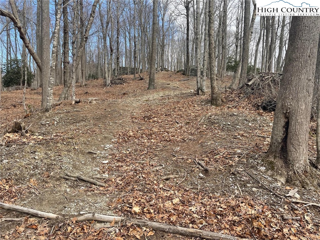 3 Jackson Ridge Road Property Photo 3