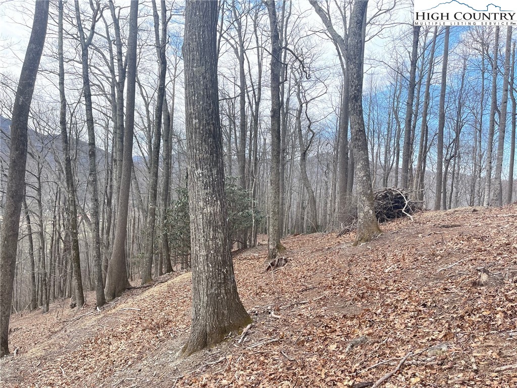 3 Jackson Ridge Road Property Photo 4