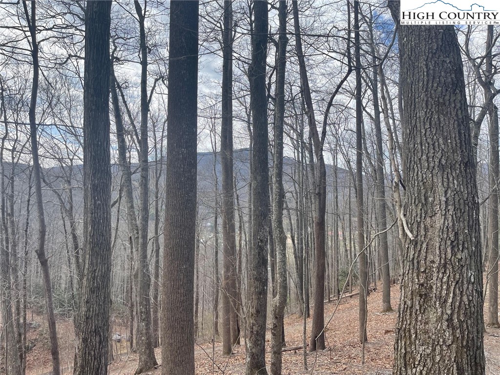 10 Jackson Ridge Road Property Photo 1