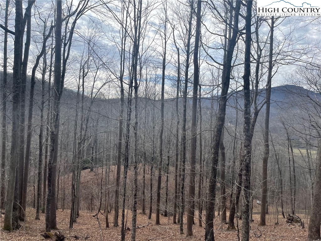 10 Jackson Ridge Road Property Photo 2