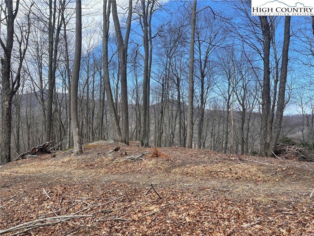 10 Jackson Ridge Road Property Photo 3