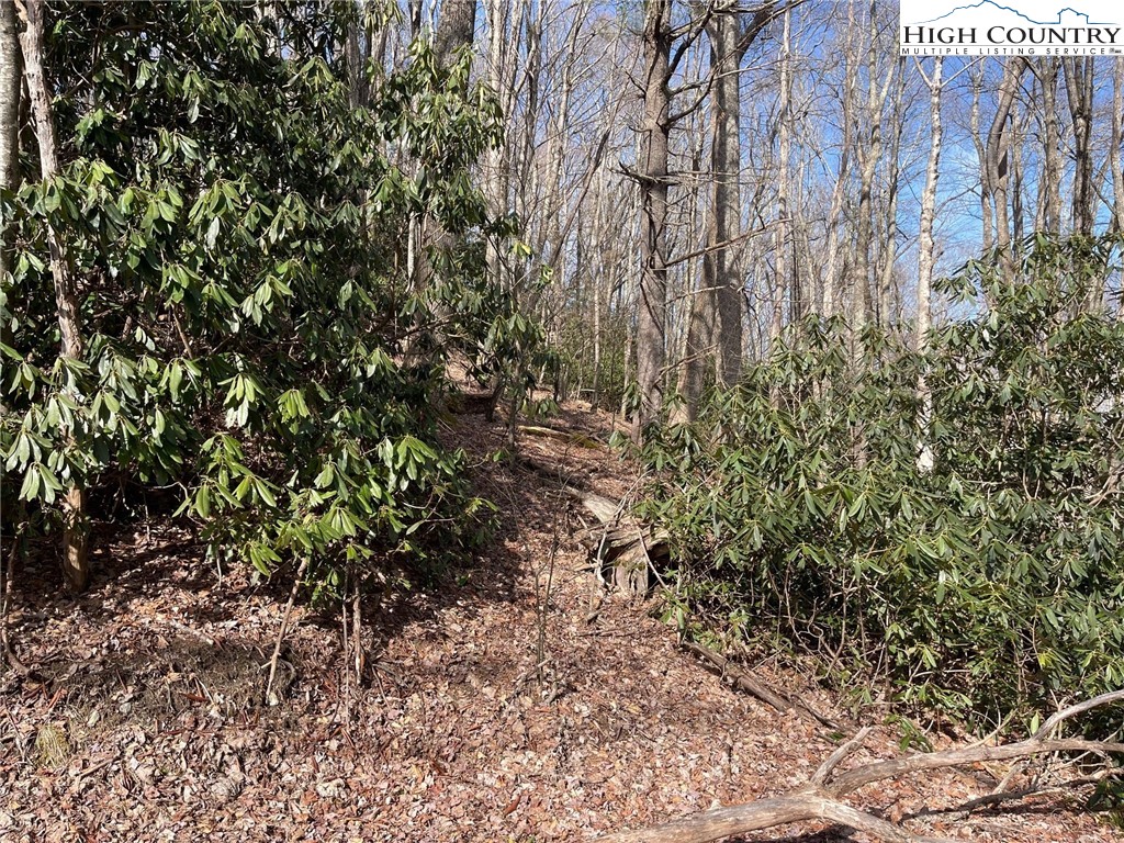 10 Jackson Ridge Road Property Photo 5