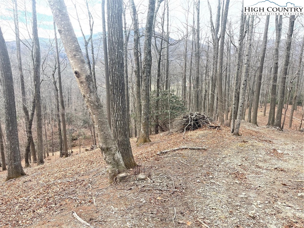 14 Jackson Ridge Road Property Photo 3