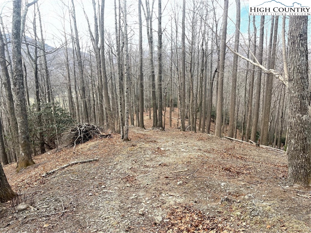 14 Jackson Ridge Road Property Photo 4