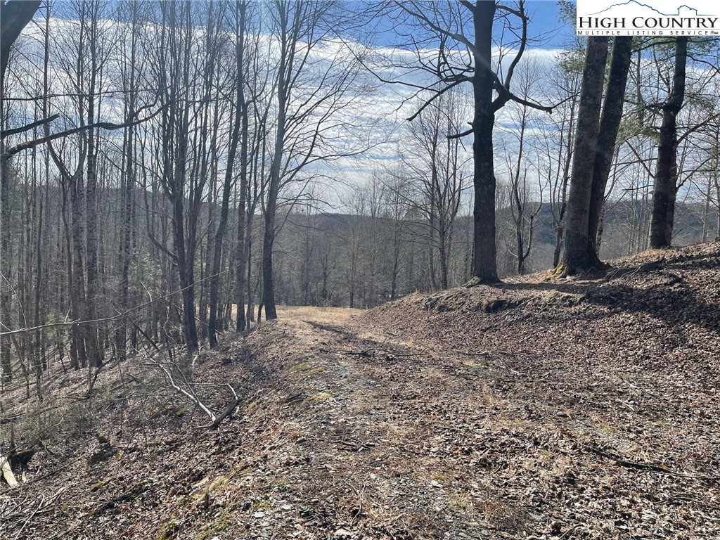 14 Jackson Ridge Road Property Photo 5
