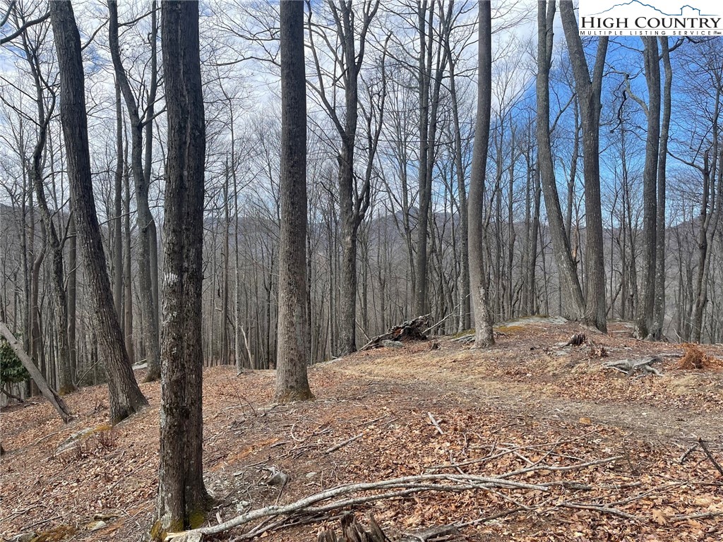 13 Jackson Ridge Road Property Photo 4
