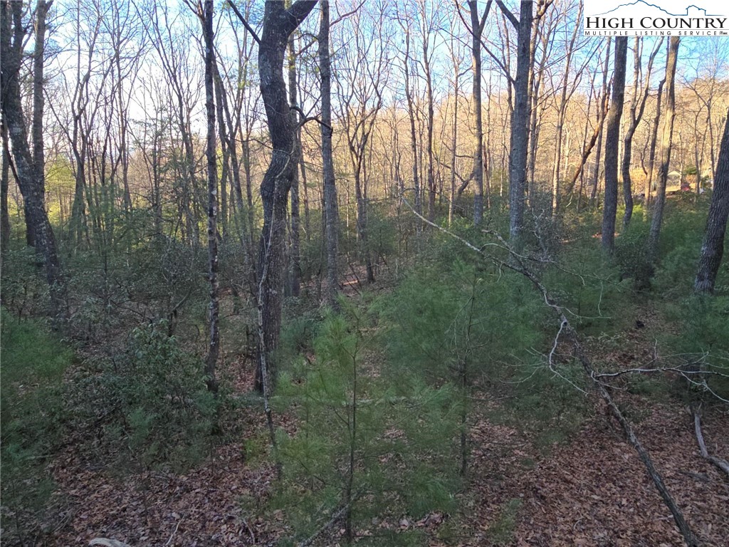 Tbd Peck Peak Rd Property Photo 2