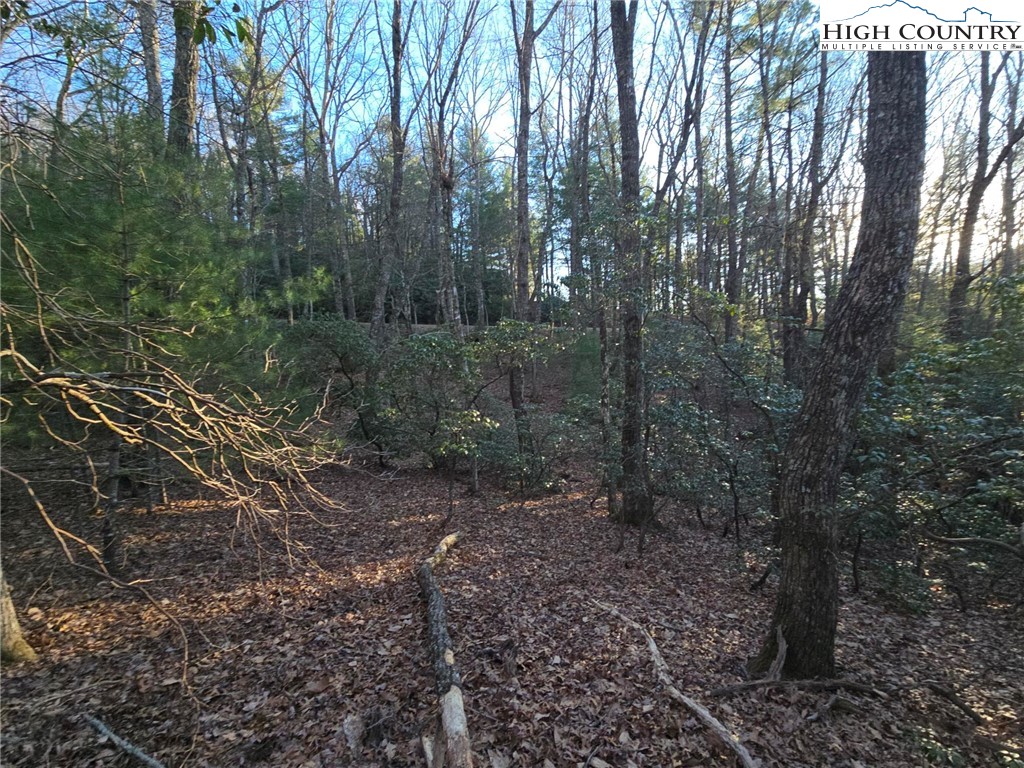Tbd Peck Peak Rd Property Photo 3