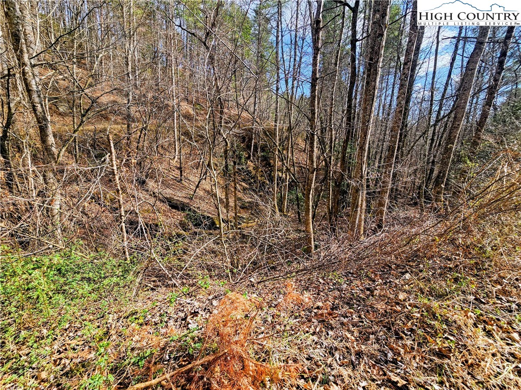 Lot 64 & 65 Bent Bow Drive Property Photo 5