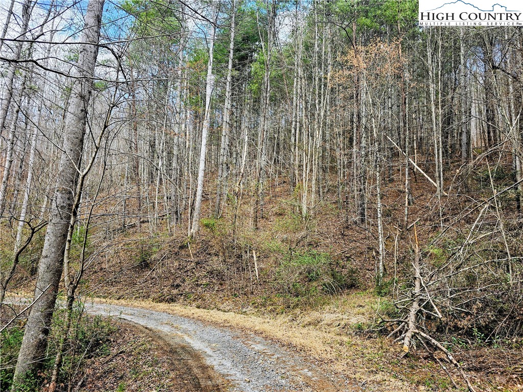 Lot 64 & 65 Bent Bow Drive Property Photo 6