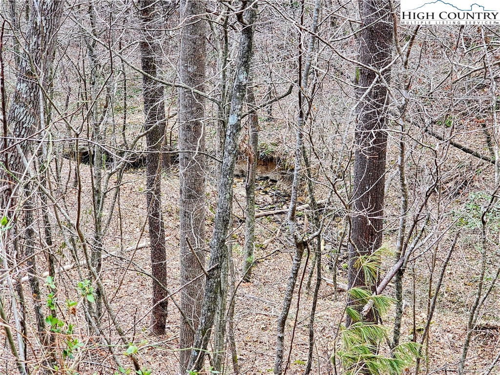 Lot 64 & 65 Bent Bow Drive Property Photo 8
