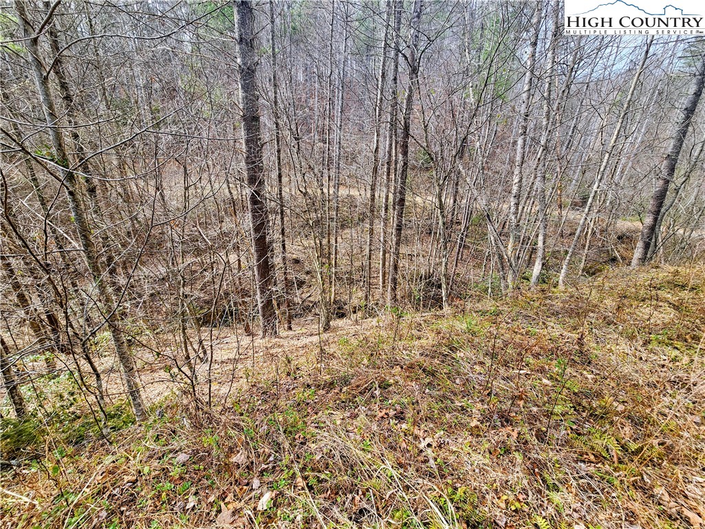 Lot 64 & 65 Bent Bow Drive Property Photo 9