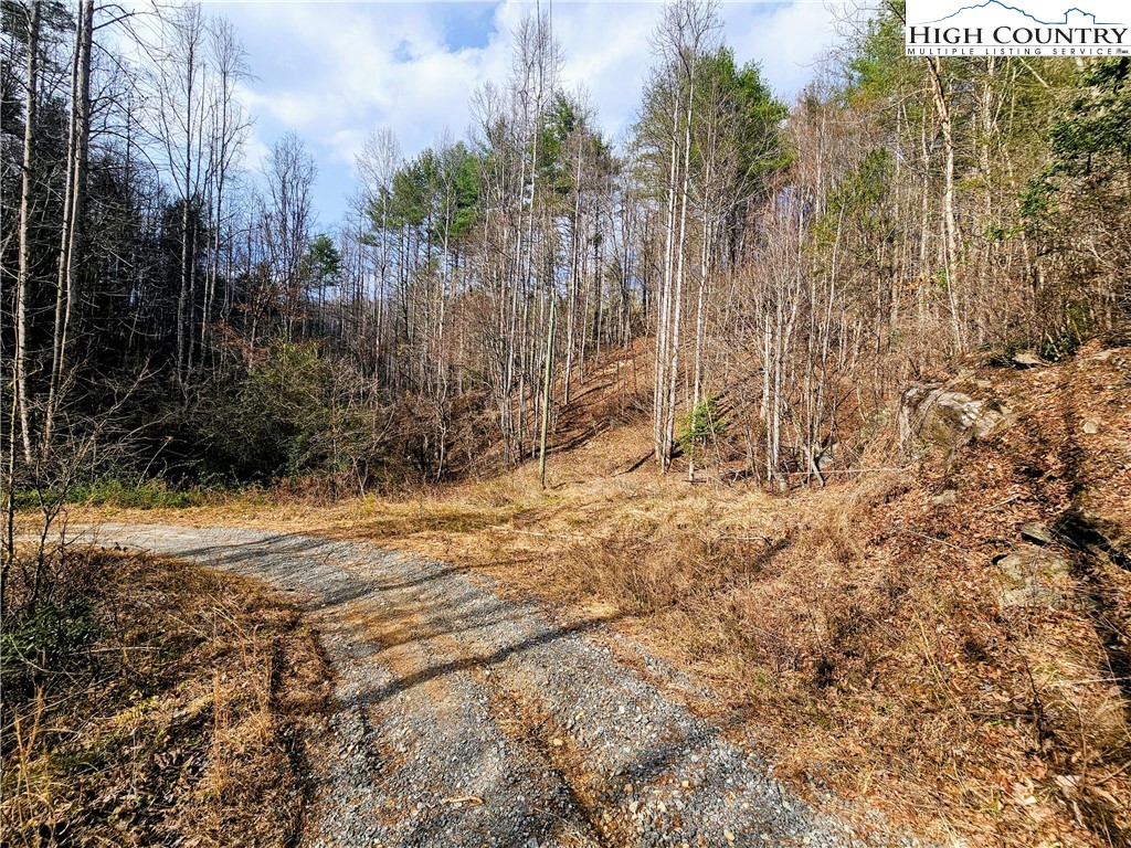 Lot 64 & 65 Bent Bow Drive Property Photo 10