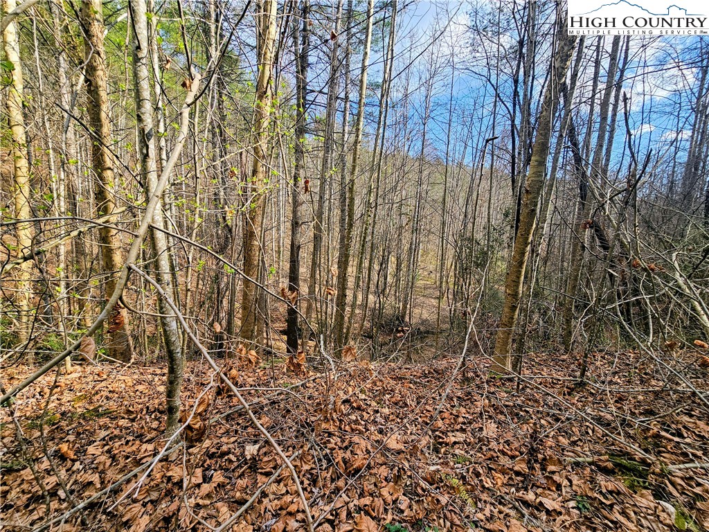 Lot 64 & 65 Bent Bow Drive Property Photo 11